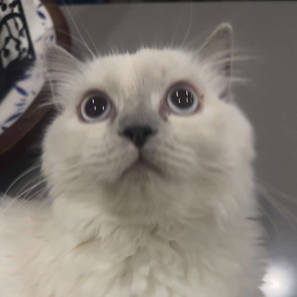 Meet your Posher, Heather